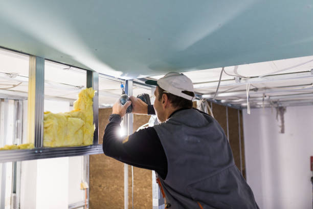 Best Spray Foam Insulation in Rexland Acres, CA