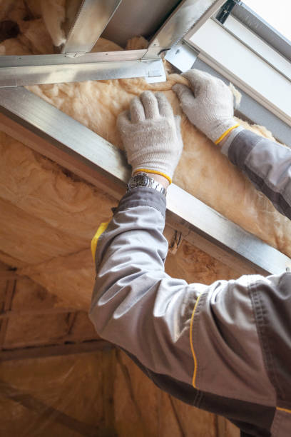 Best Insulation Maintenance and Repair in Rexland Acres, CA